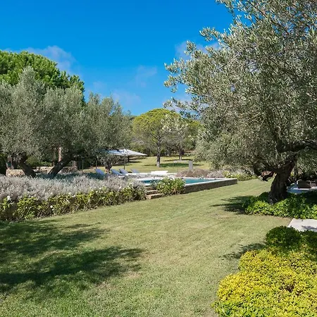 Amandiers Saint Tropez Раматей